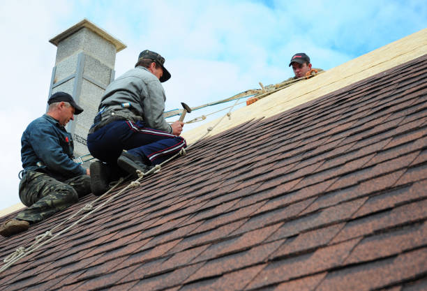 Best Metal Roofing Contractor  in Dellwood, MO